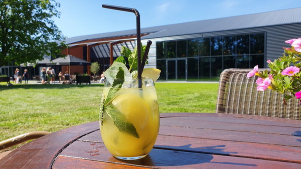 Verse cocktail op het terras met uitzicht op het grasveld bij Posta7
