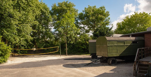 Terrein van de groepsaccommodatie met pipowagens tussen de bomen